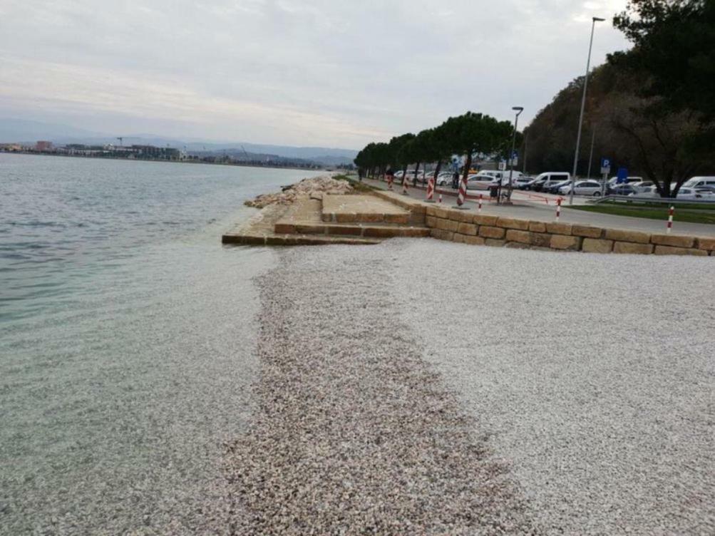 Sobe Al Moletto Apartment Koper Luaran gambar